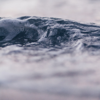 Shampoo iPhone Princess